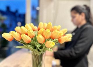 Ethos Hotel fotoÄŸrafÄ±