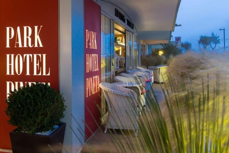 Park Hotel Pineta - Teras