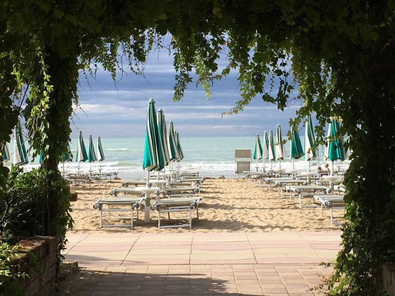 Hotel Vina Del Mar Pineta - Plaj