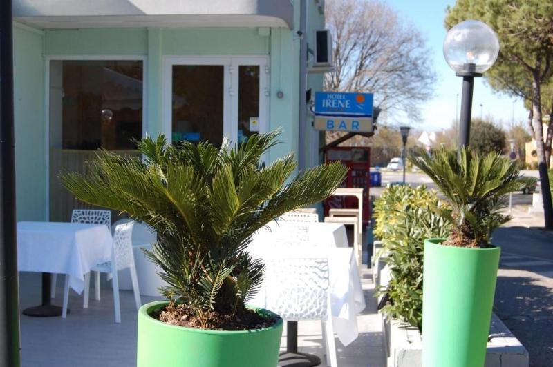 Hotel Irene - Teras