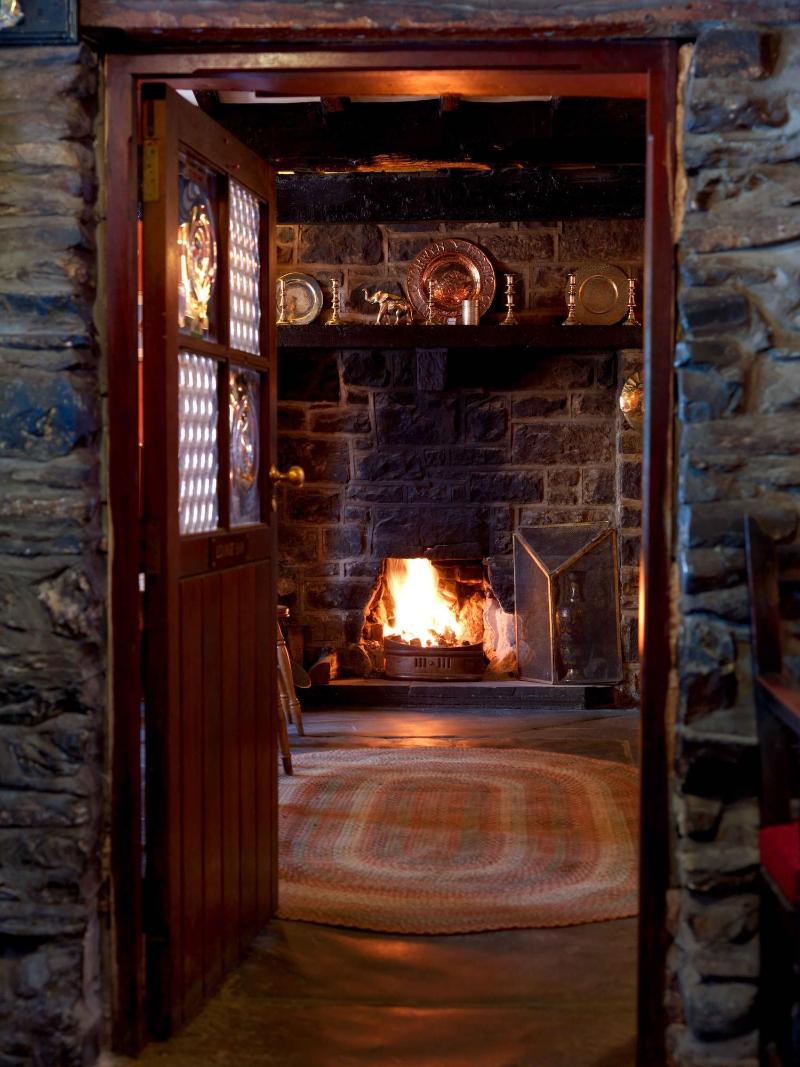 Y Talbot Tregaron - Aktivite