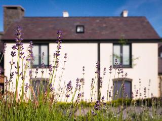 Y Talbot Tregaron fotoÄŸrafÄ±