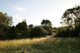 Artist Residence Oxfordshire fotoÄŸrafÄ±