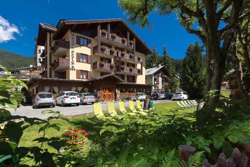 Hotel Alpina - Genel