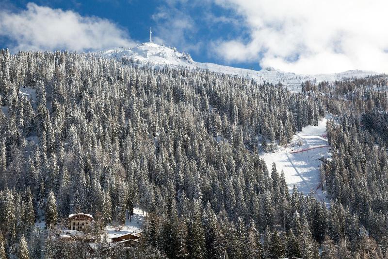 Hotel Alpina - Genel