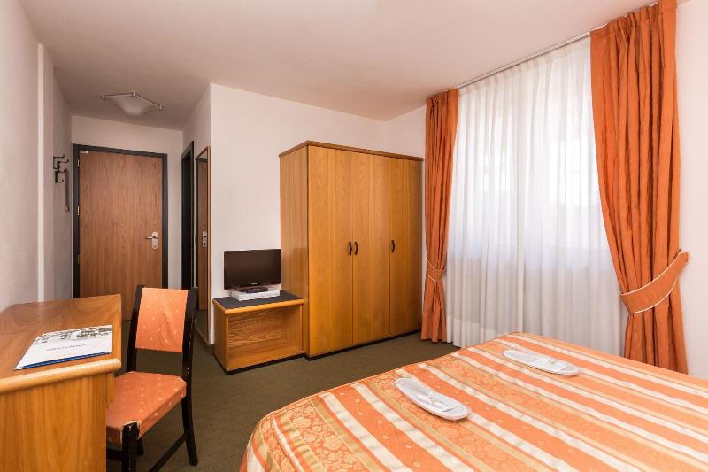Hotel Alpina - Oda