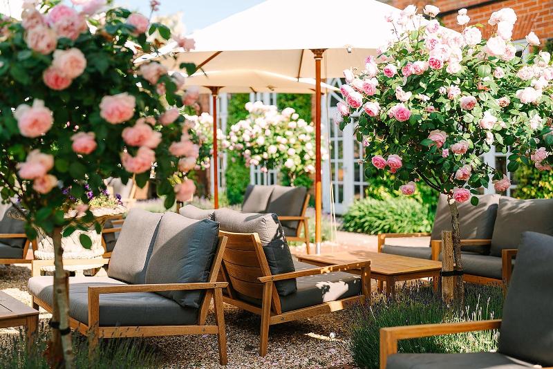 Chewton Glen - Teras