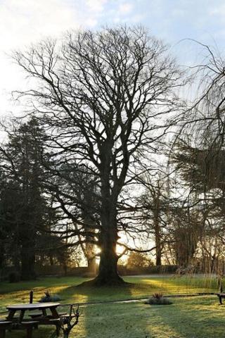 Chiseldon House fotoÄŸrafÄ±