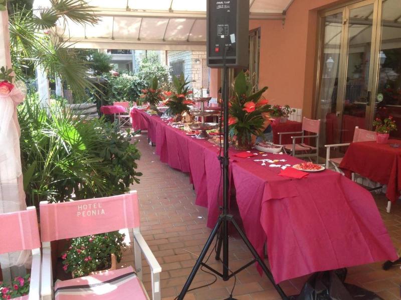 Hotel Peonia - Genel