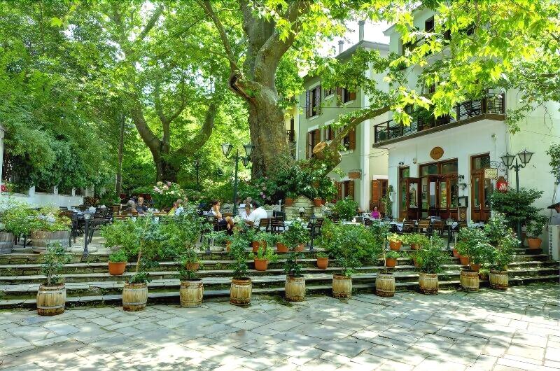 Kritsa Gastronomy Hotel - Genel
