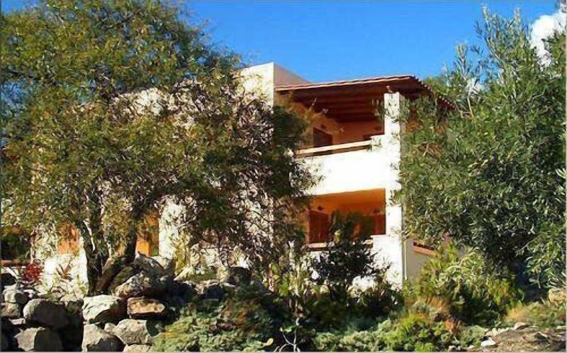 Phoenix Apartments - Genel