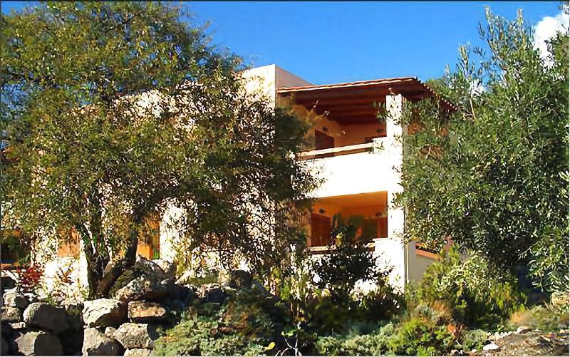 Phoenix Apartments - Genel
