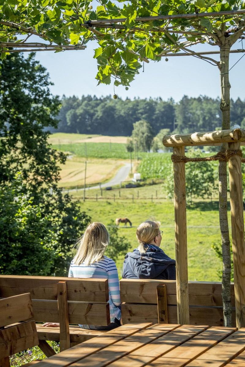 Landhotel Buller - Teras