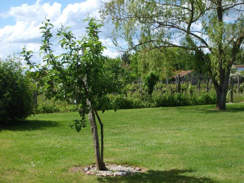 Le Châlet des Vignes - Genel