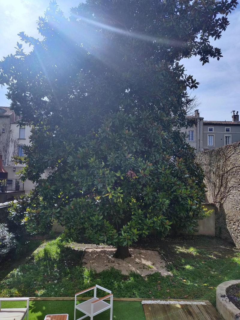 Chambres d'hotes le Magnolia - Genel
