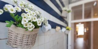Casinha Das Flores fotoÄŸrafÄ±