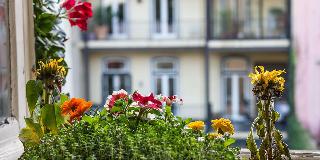 Casinha Das Flores fotoÄŸrafÄ±