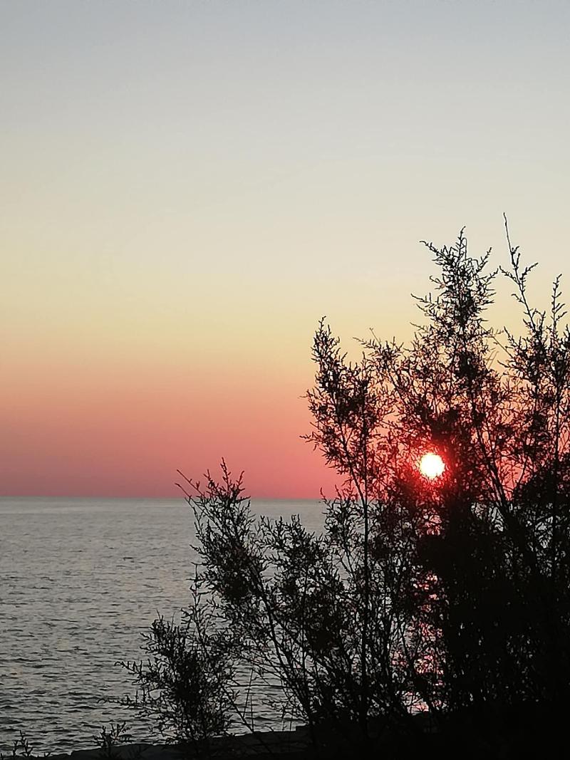 Mirage B&B - Genel