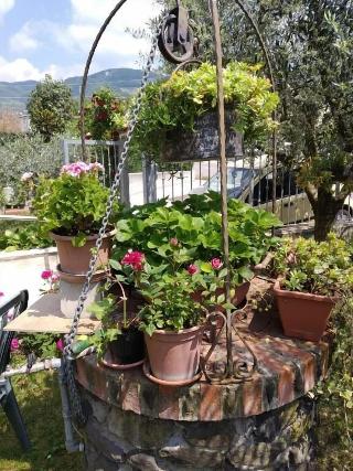 Al Pozzo fotoÄŸrafÄ±