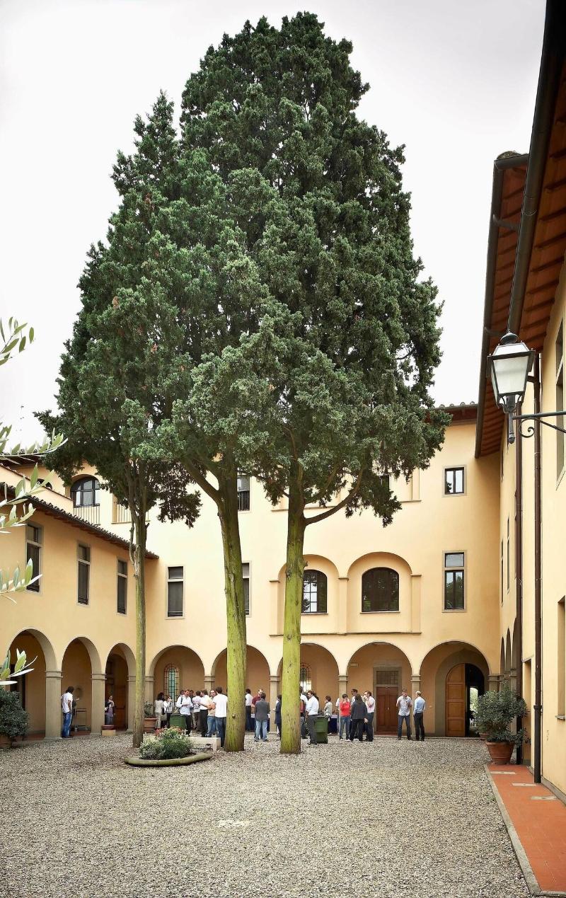 Villa La Stella - Casa per Ferie - Genel