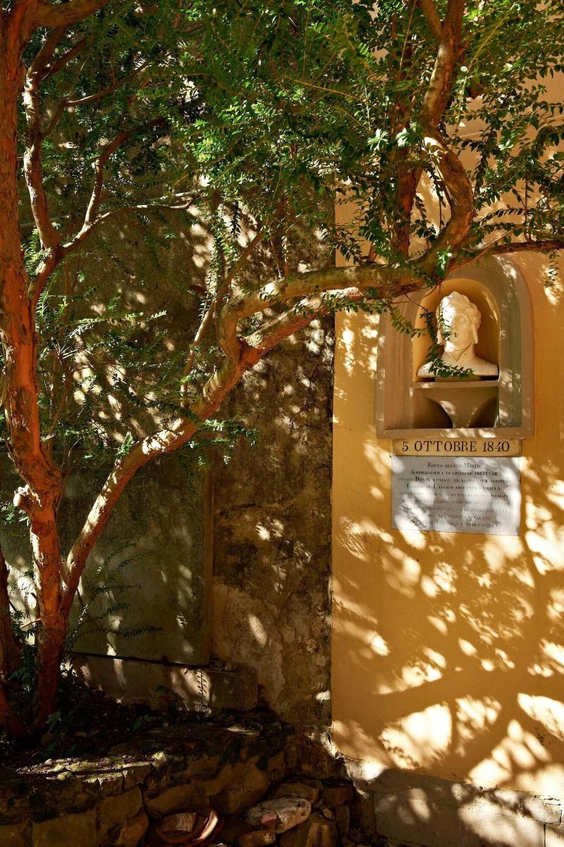 Villa La Stella - Casa per Ferie - Genel