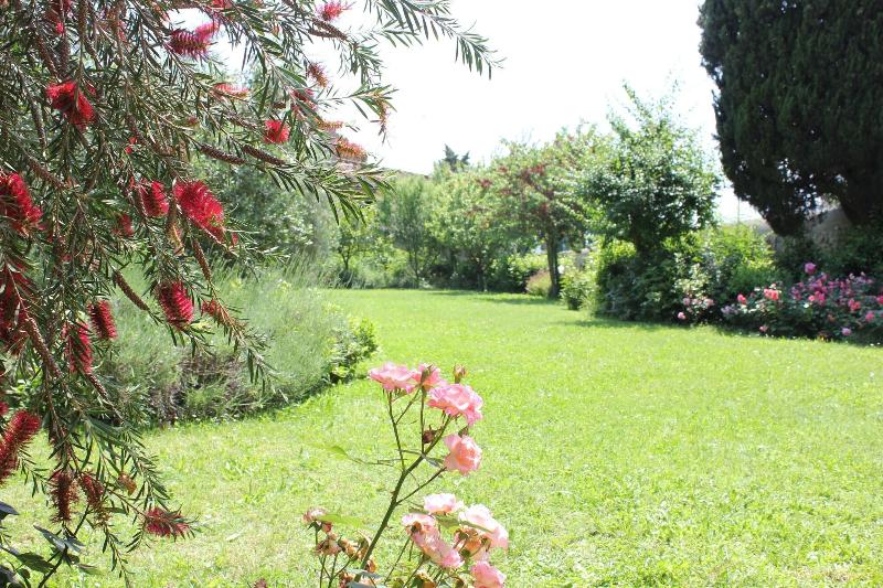 Villa La Stella - Casa per Ferie - Genel