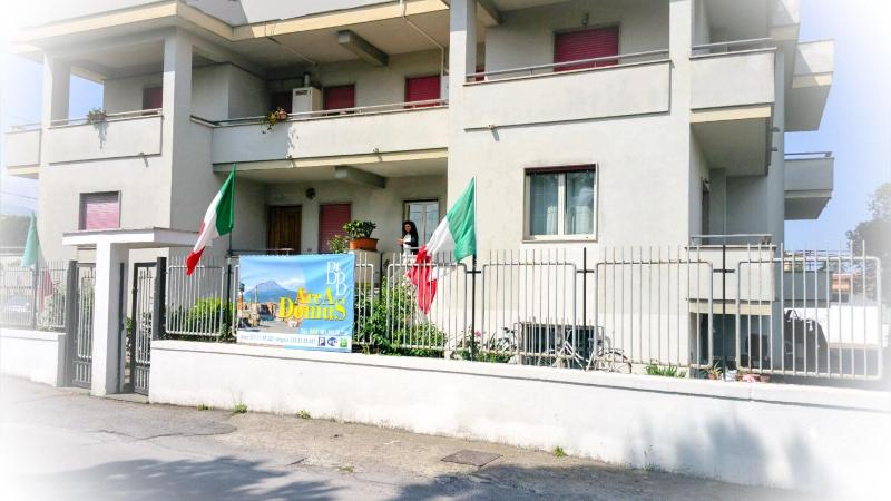Area Domus - Genel