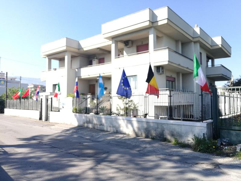 Area Domus - Genel
