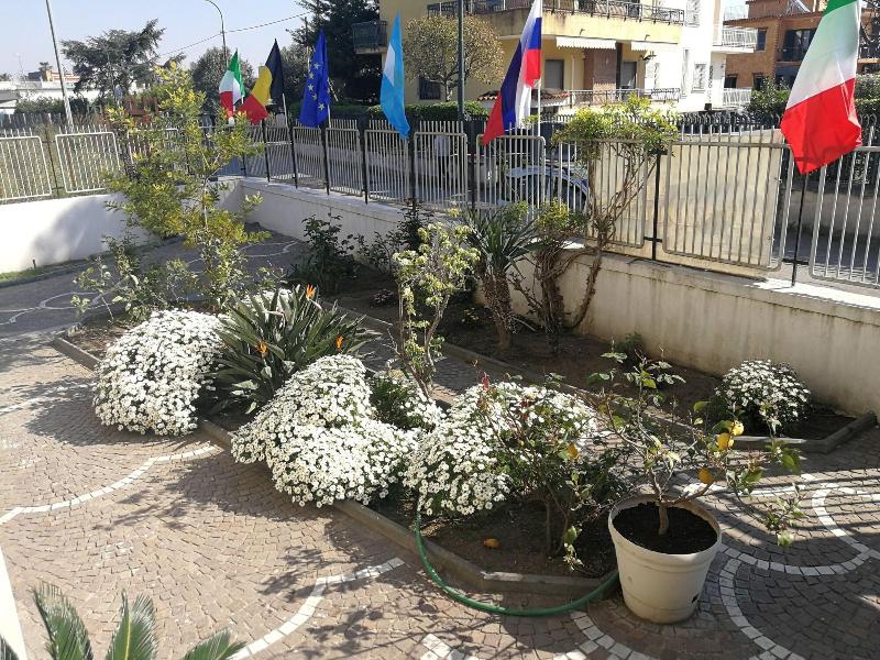 Area Domus - Genel