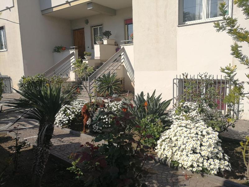 Area Domus - Genel
