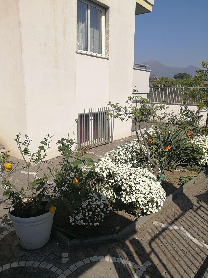 Area Domus - Genel