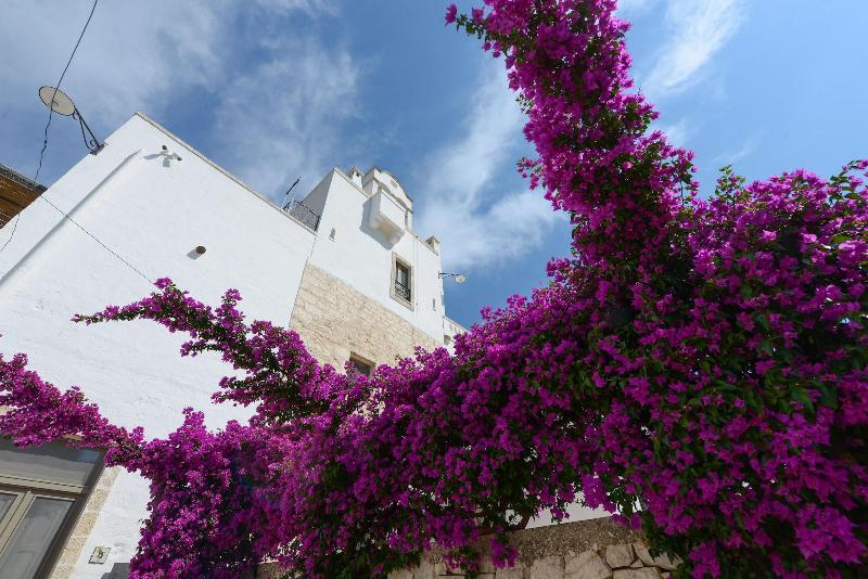 Masseria Lamiola Piccola - Genel