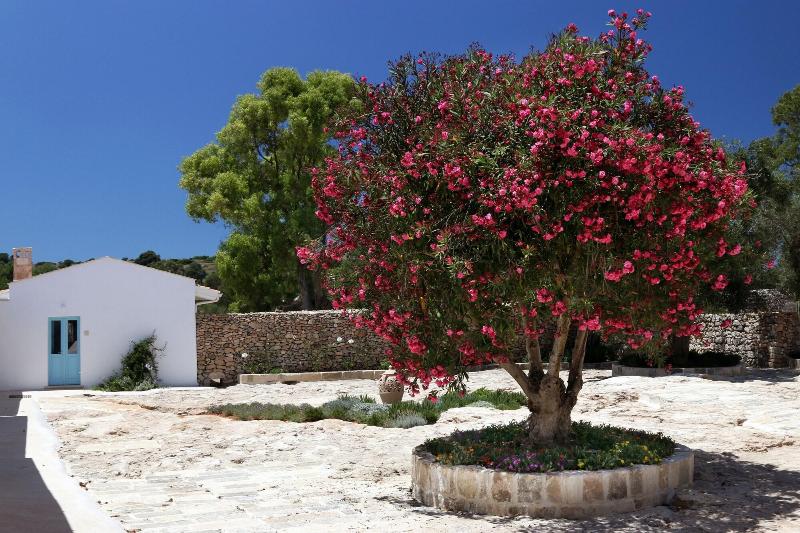Antica Masseria Del Fano - Genel