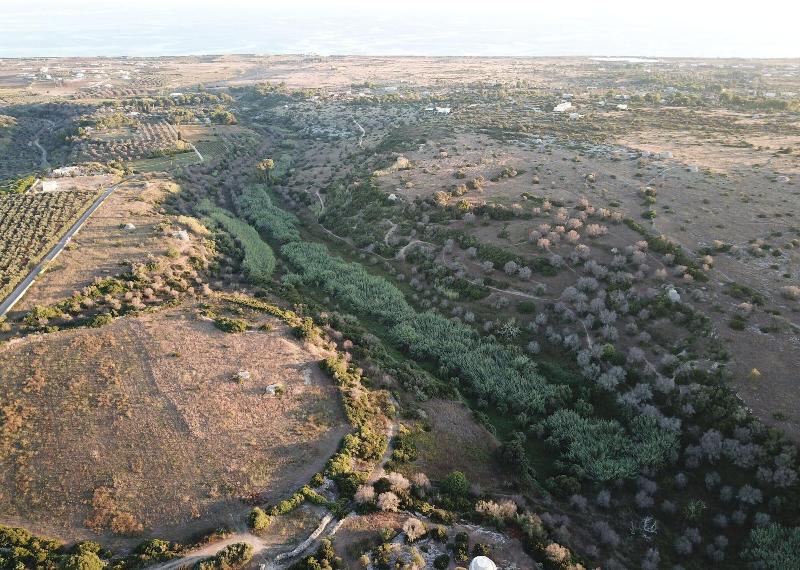 Antica Masseria Del Fano - Genel