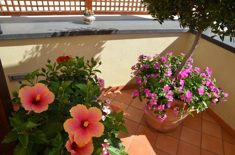 Villa Maria - Teras