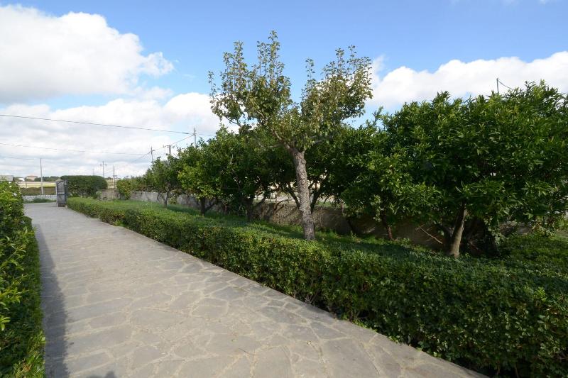 Villa Rosa - Genel