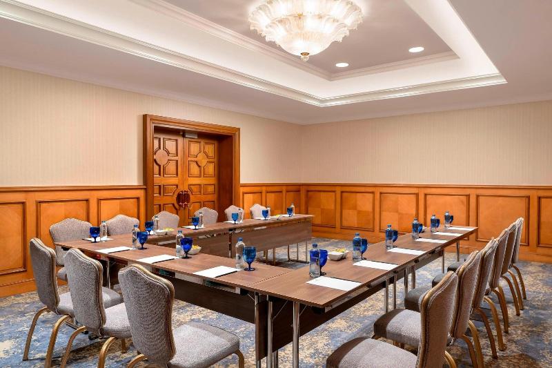 The Ritz-Carlton, Istanbul - Toplantı
