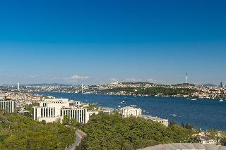 The Ritz-Carlton, Istanbul fotoÄŸrafÄ±