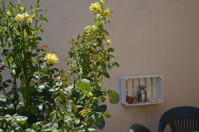 Villa Felice - Genel