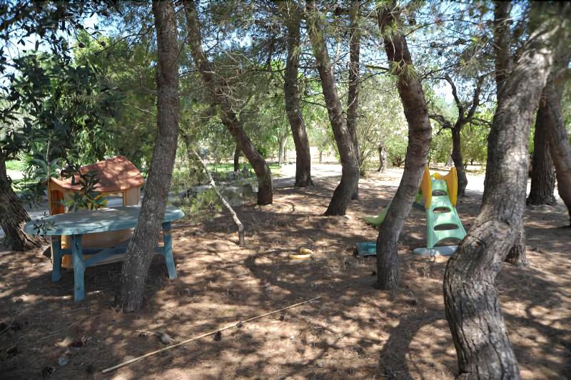 Vacanze Al Minci - Aktivite