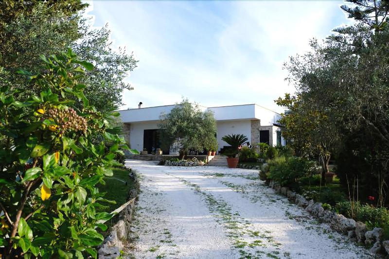 Vacanze Al Minci - Genel