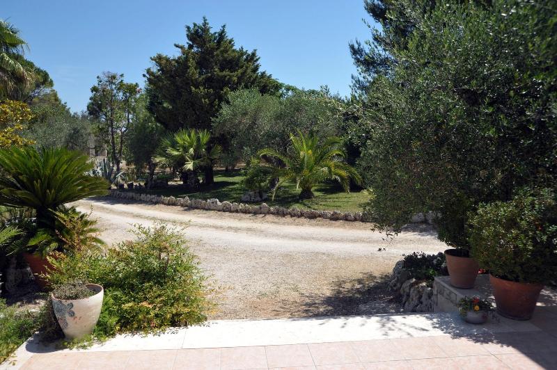Vacanze Al Minci - Genel