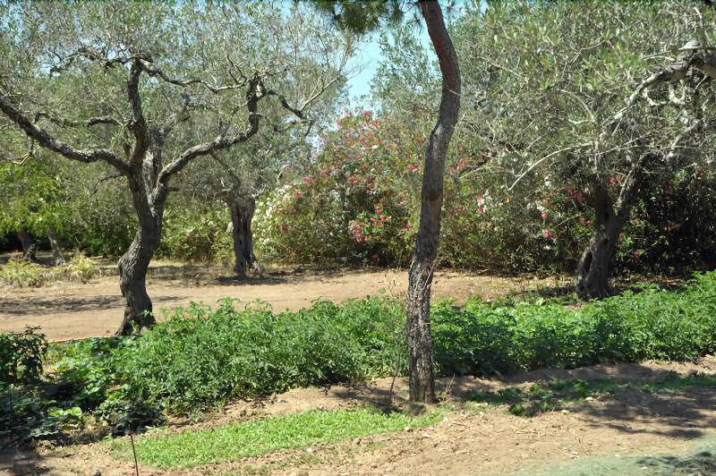 Vacanze Al Minci - Genel