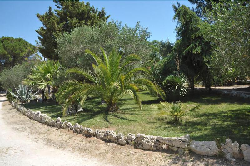 Vacanze Al Minci - Genel