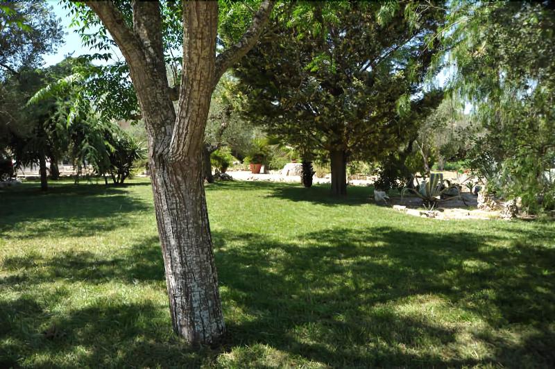 Vacanze Al Minci - Genel