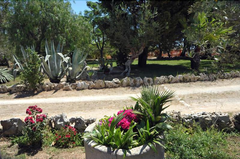 Vacanze Al Minci - Genel