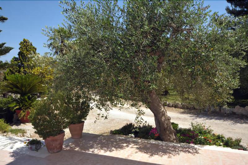Vacanze Al Minci - Oda