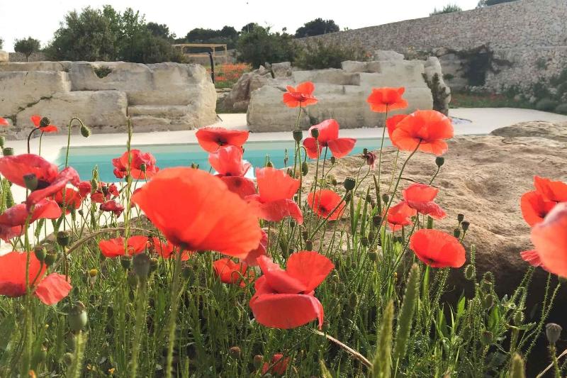 Masseria Gelsi - Aktivite