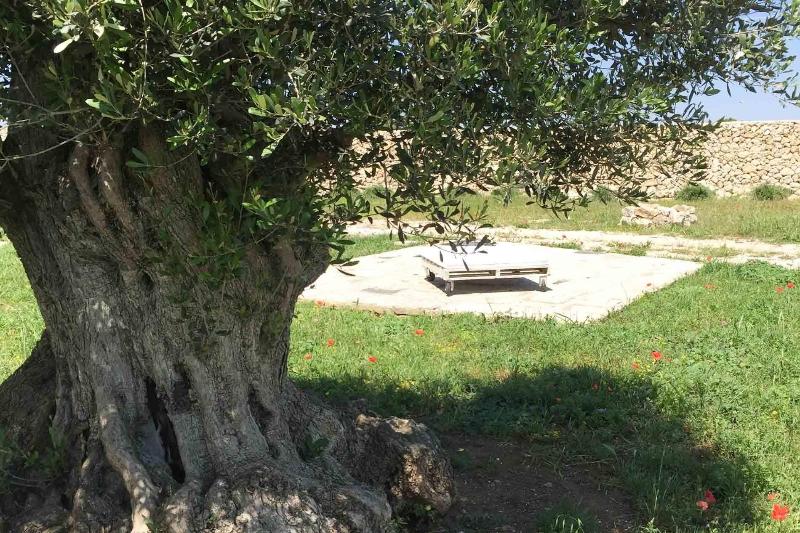 Masseria Gelsi - Genel