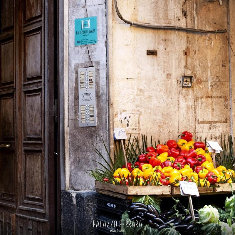 Palazzo Ferrara - Genel
